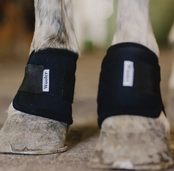 Hovedbilde Wooler Pastern Wraps