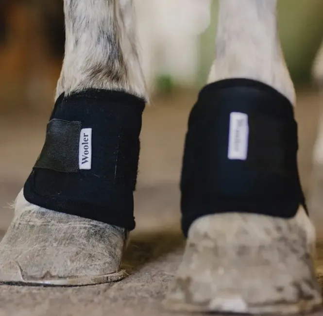 Hovedbilde Wooler Pastern Wraps
