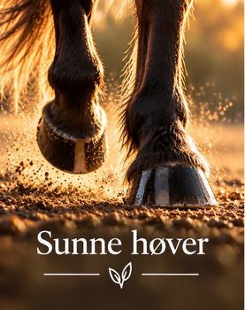Hovedbilde Sunne høver