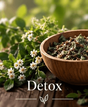 Hovedbilde Detox
