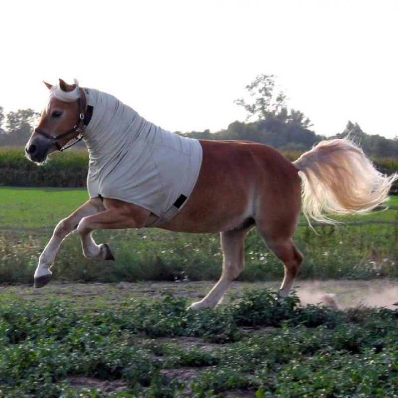 Snuggy Hoods Headless Anti-Itch Hood