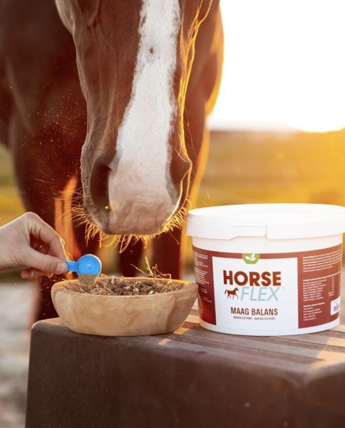 HorseFlex Gastro Support