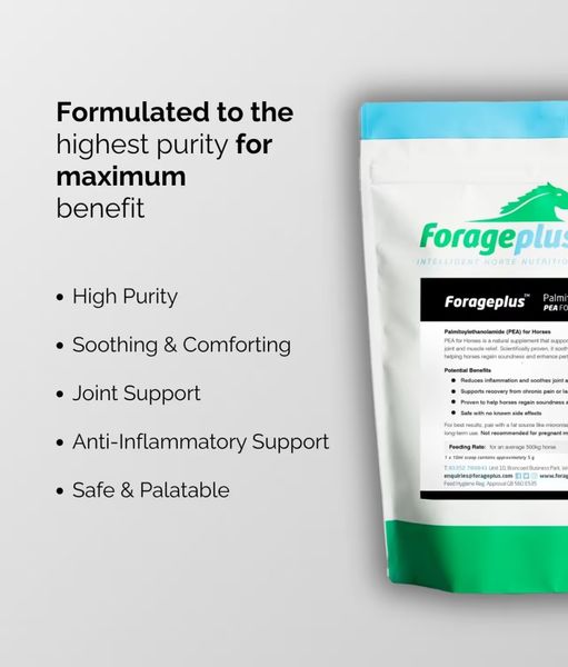 Forageplus PEA for Horses