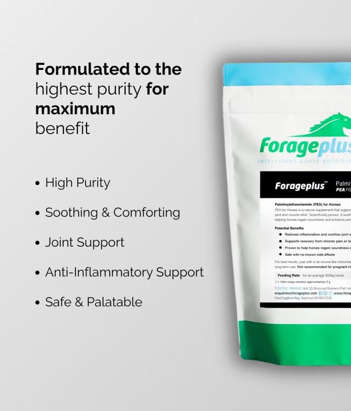 Forageplus PEA for Horses