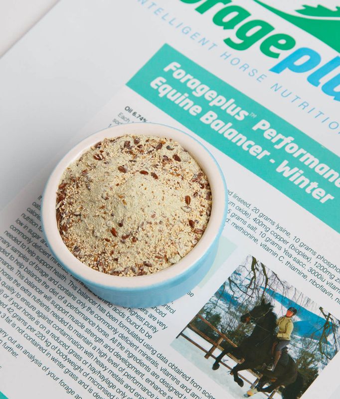 Forageplus Performance Winter Equine Balancer