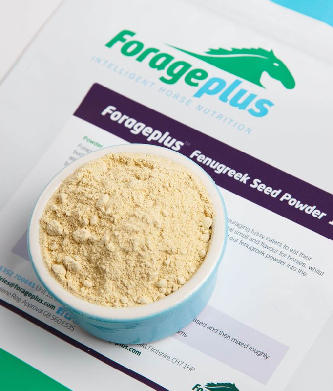 Forageplus Bukkehornkløverfrø