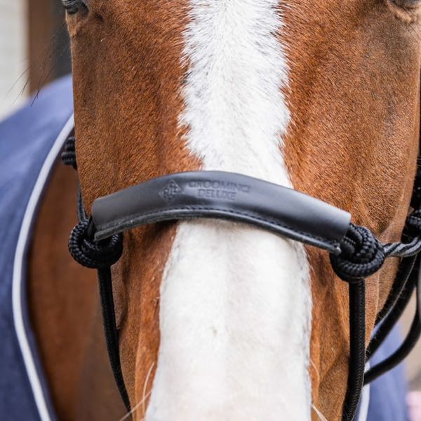 Kentucky Rope Halter