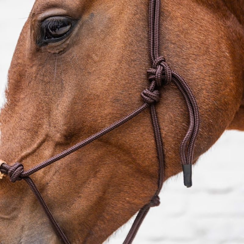 Kentucky Rope Halter