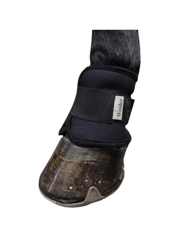 Wooler Pastern Wraps