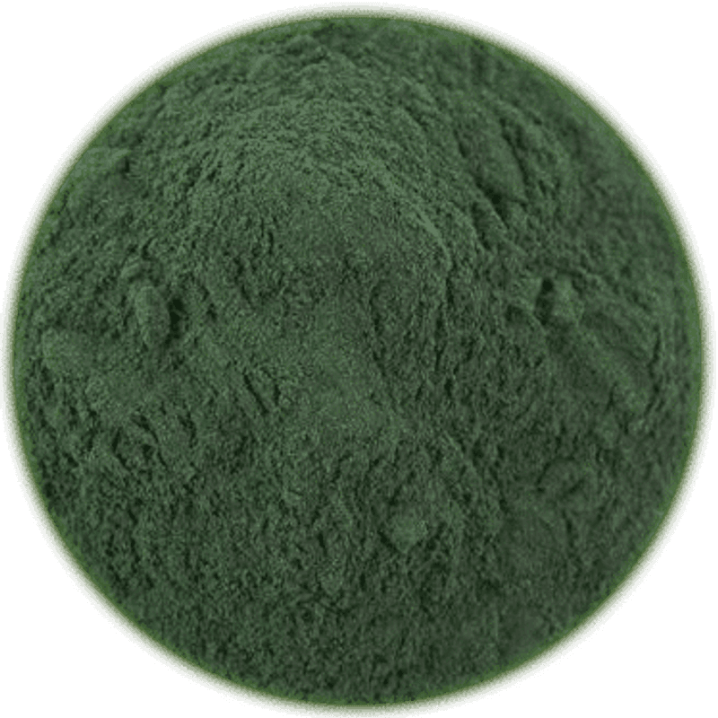 HorseFlex Spirulina