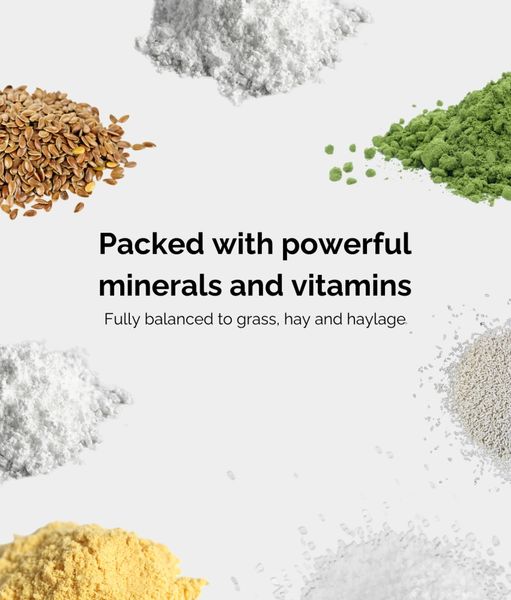Forageplus No Linseed Balancer