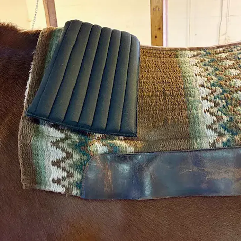 All That Saddle Shims
