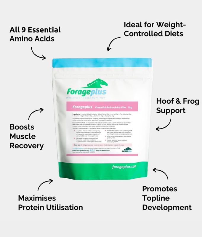 Forageplus Essential Amino Acids